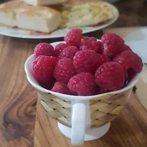 La Damigiana Fioi Couette-café